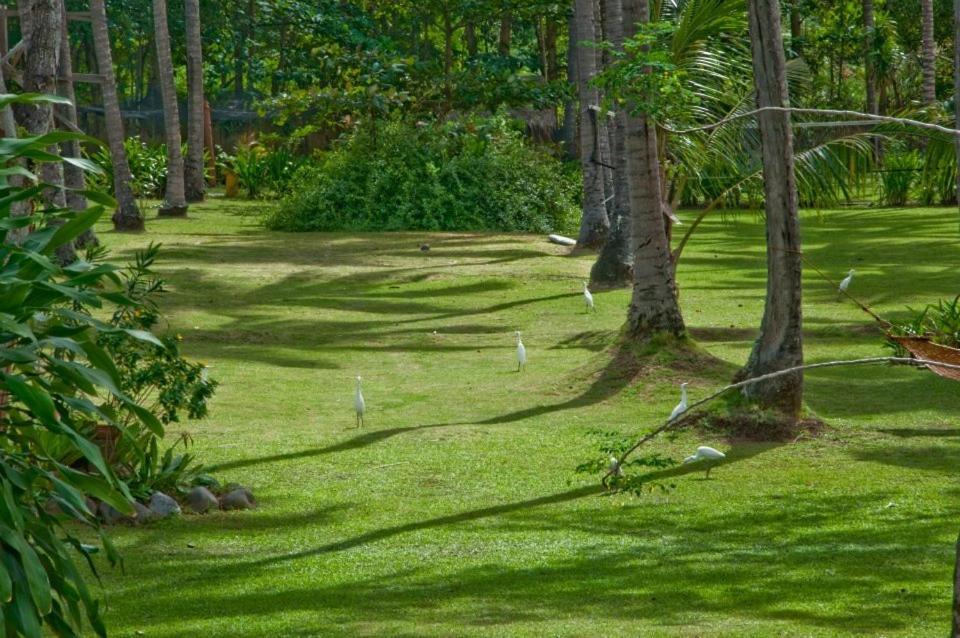 Crystal Paradise Resort Spa & Winery Narra Exterior photo