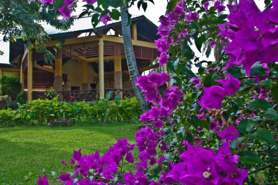 Crystal Paradise Resort Spa & Winery Narra Exterior photo
